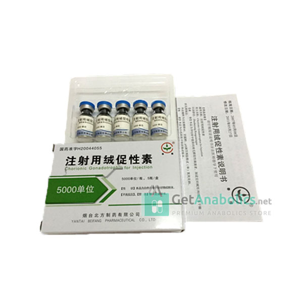 HCG 10000