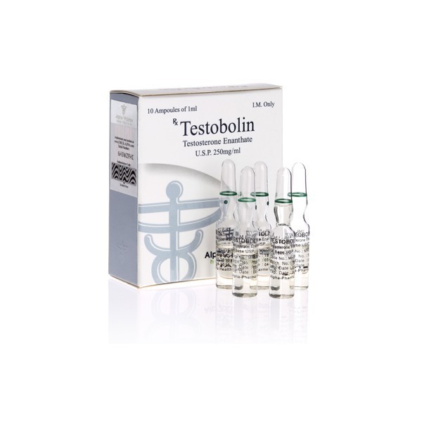 Testosterone Enant. 250 - Alpha Pharma