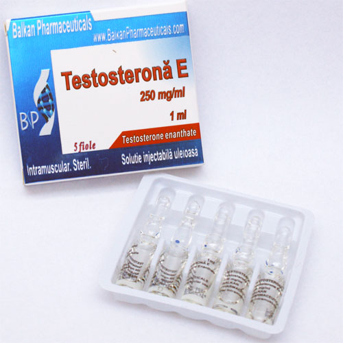 Testosterone Enanthate