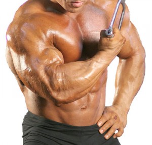 I segreti della steroidi muscoli d'acciaio